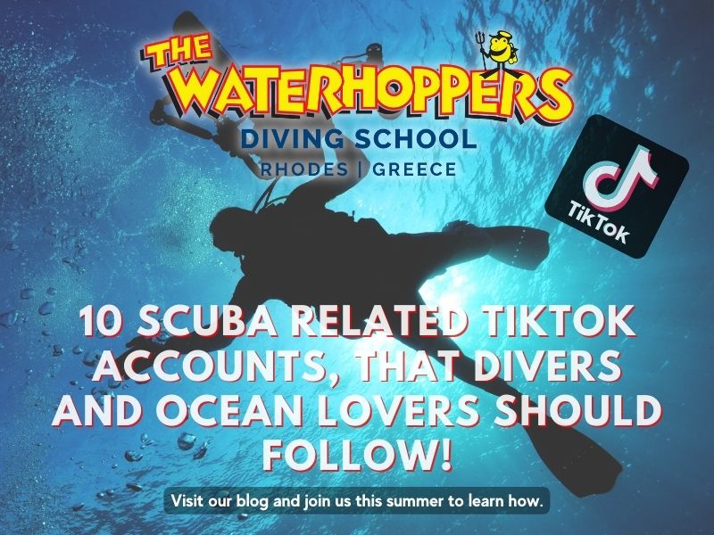 10 Scuba Related TikTok Accounts, that divers and Ocean lovers should follow.
